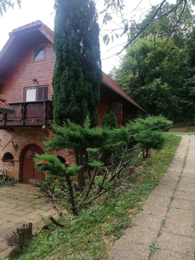 Готель Mohas Vendeghaz Koszeg Mohas Ut 107 Екстер'єр фото